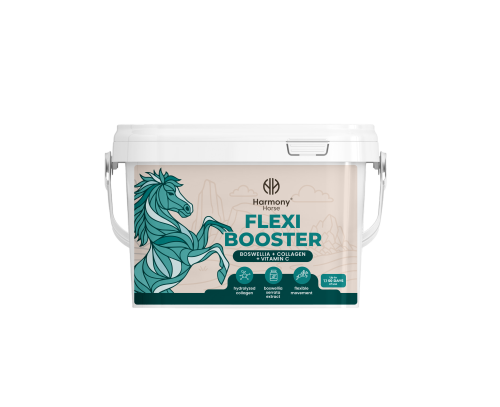 Kopia flexi_booster.png
