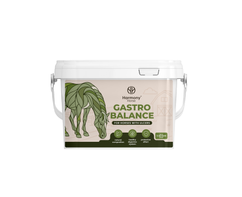 Kopia gastro_balance.png