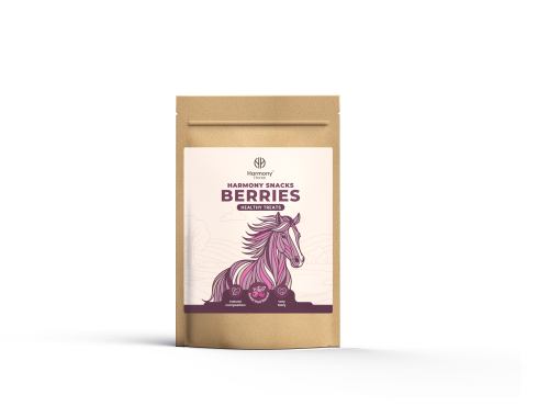 snacks_berries_500g.png