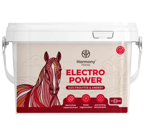 electro_power_1,5g.png