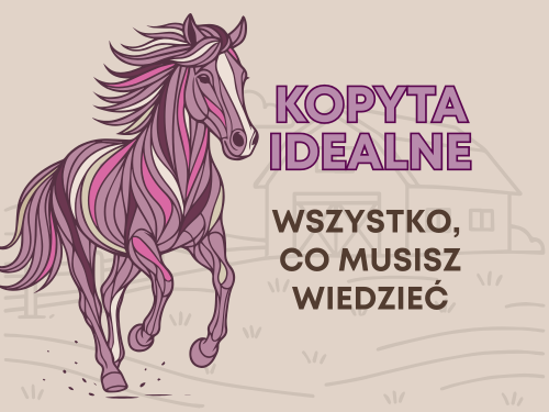 KOPYTA IDEALNE - wszystko, co musisz wiedzieć