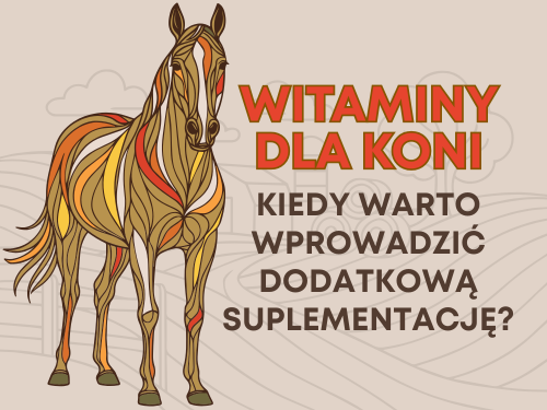 WITAMINY DLA KONI - kiedy warto wprowadzić dodatkową suplementację?